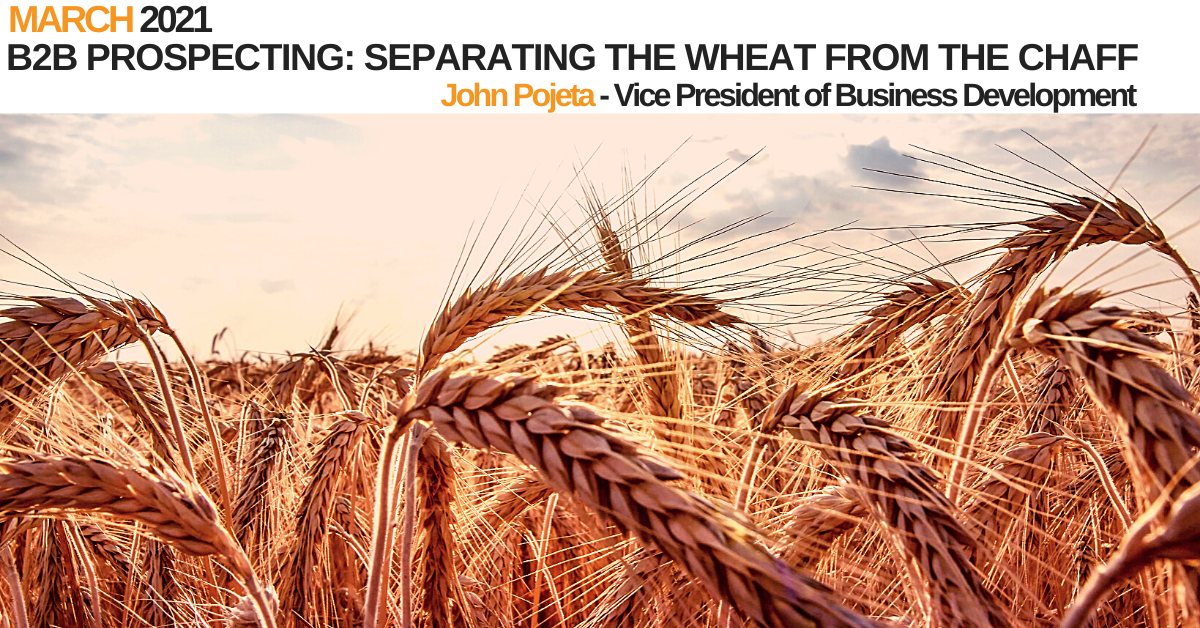 B2B Prospecting Webinar: Separating the Wheat from the Chaff